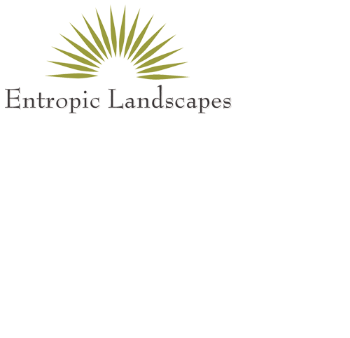 Entropic Landscapes - Gainesville, FL